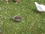2006-0605-1138-57.jpg